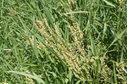 IMG_6801