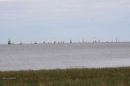 IMG_7932