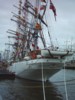 Sail2005Wuensch4kl.jpg