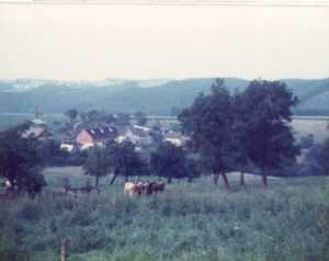 Wendlingen.jpg
